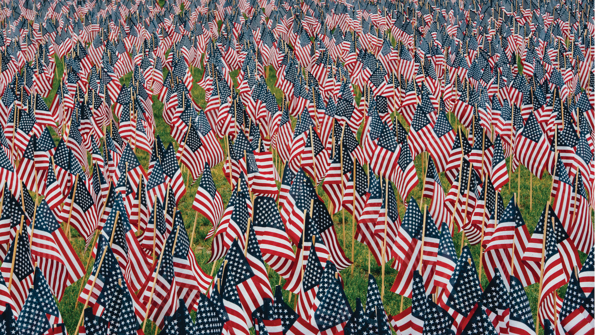 Photo of several american flags staked into green grass